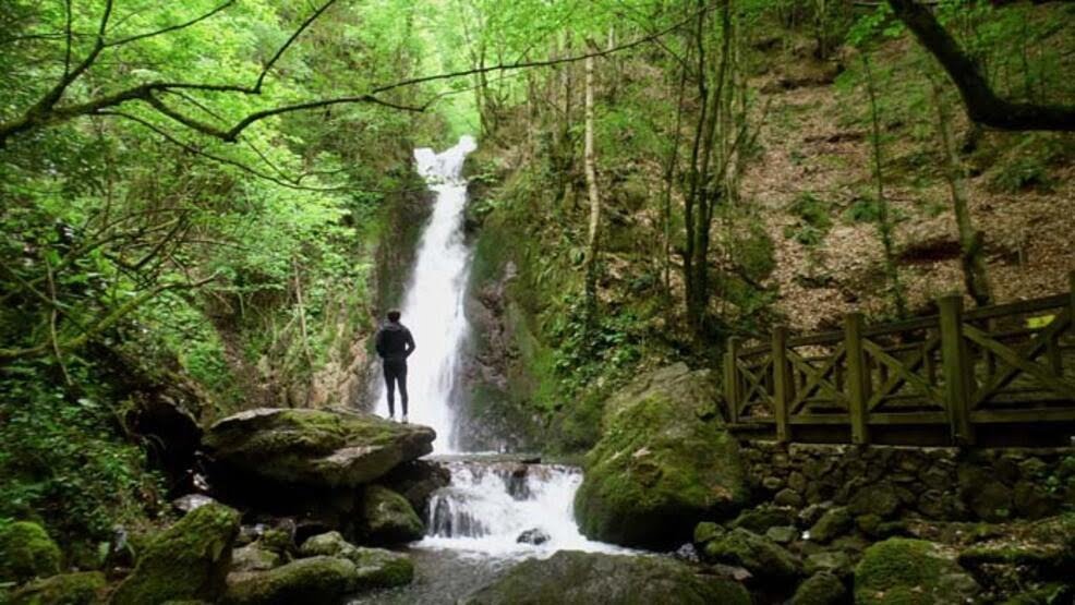 Aydıntepe Tabiat Parkı